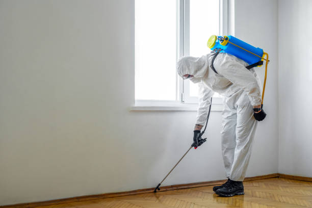 Best Pest Removal Services  in Ripley, TN